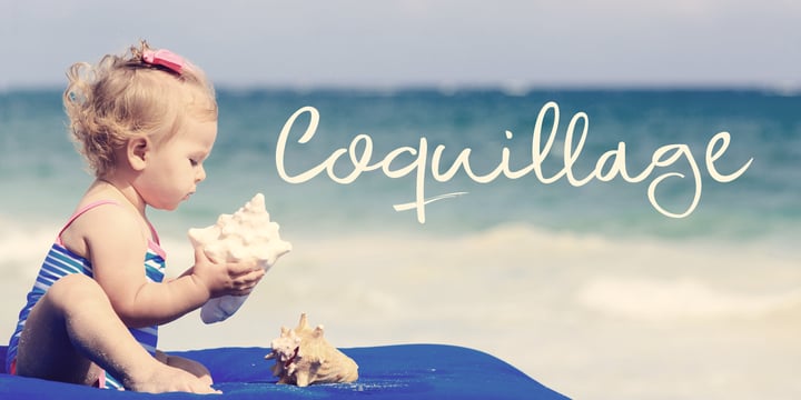 Coquillage Font Webfont Desktop Myfonts
