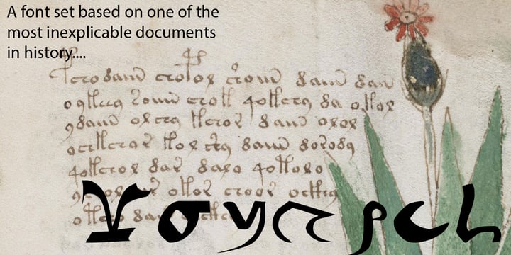 voynich manuscript font voynich manuscript font