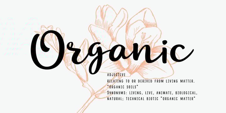 Download Cupcake Myfonts SVG Cut Files