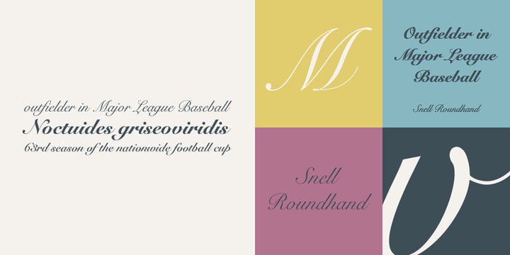Snell Roundhand Webfont Desktop Font Myfonts