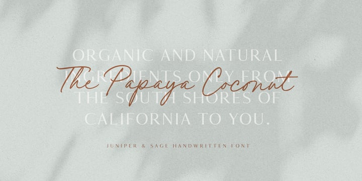 Download Script Fonts Myfonts SVG Cut Files