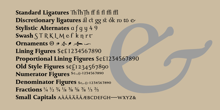 Download Ornament Font Myfonts SVG Cut Files