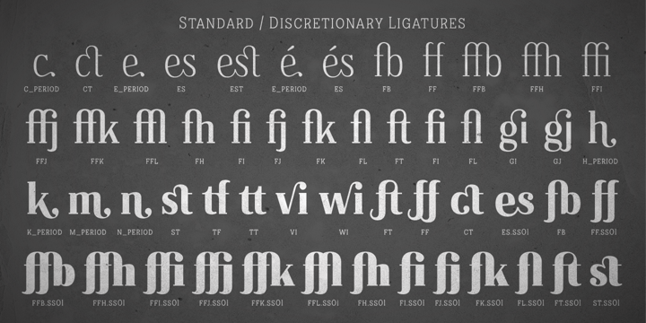 Diversity Fonts Myfonts