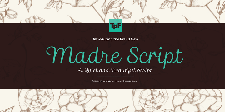 Madre Script Font Webfont Desktop Myfonts