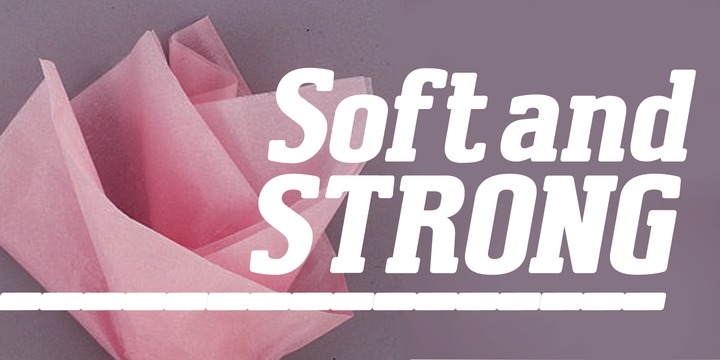 Download Rounded Slab Serif Fonts Myfonts Yellowimages Mockups