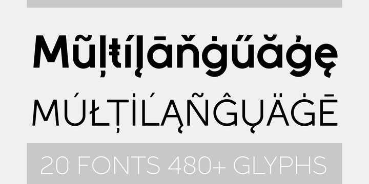 Download Rigid Myfonts SVG Cut Files